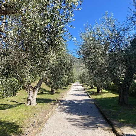 Sant'anna Del Volterraio - Bilocale Piazzetta *